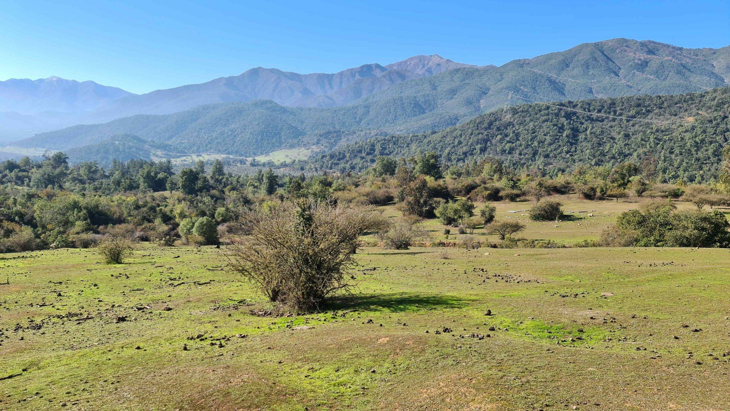 Lomas de Huemul