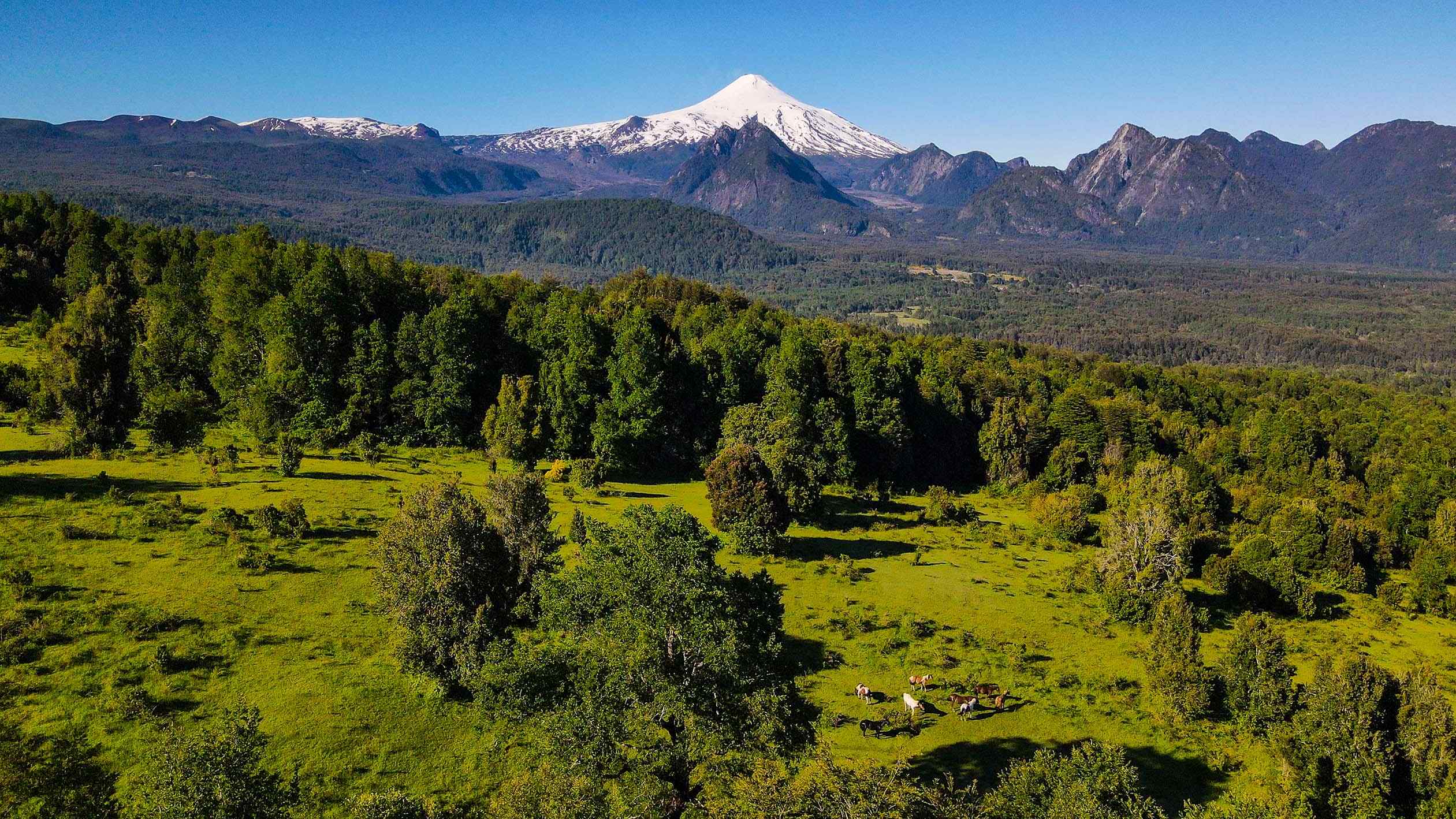 parcela-pucon-quilaco