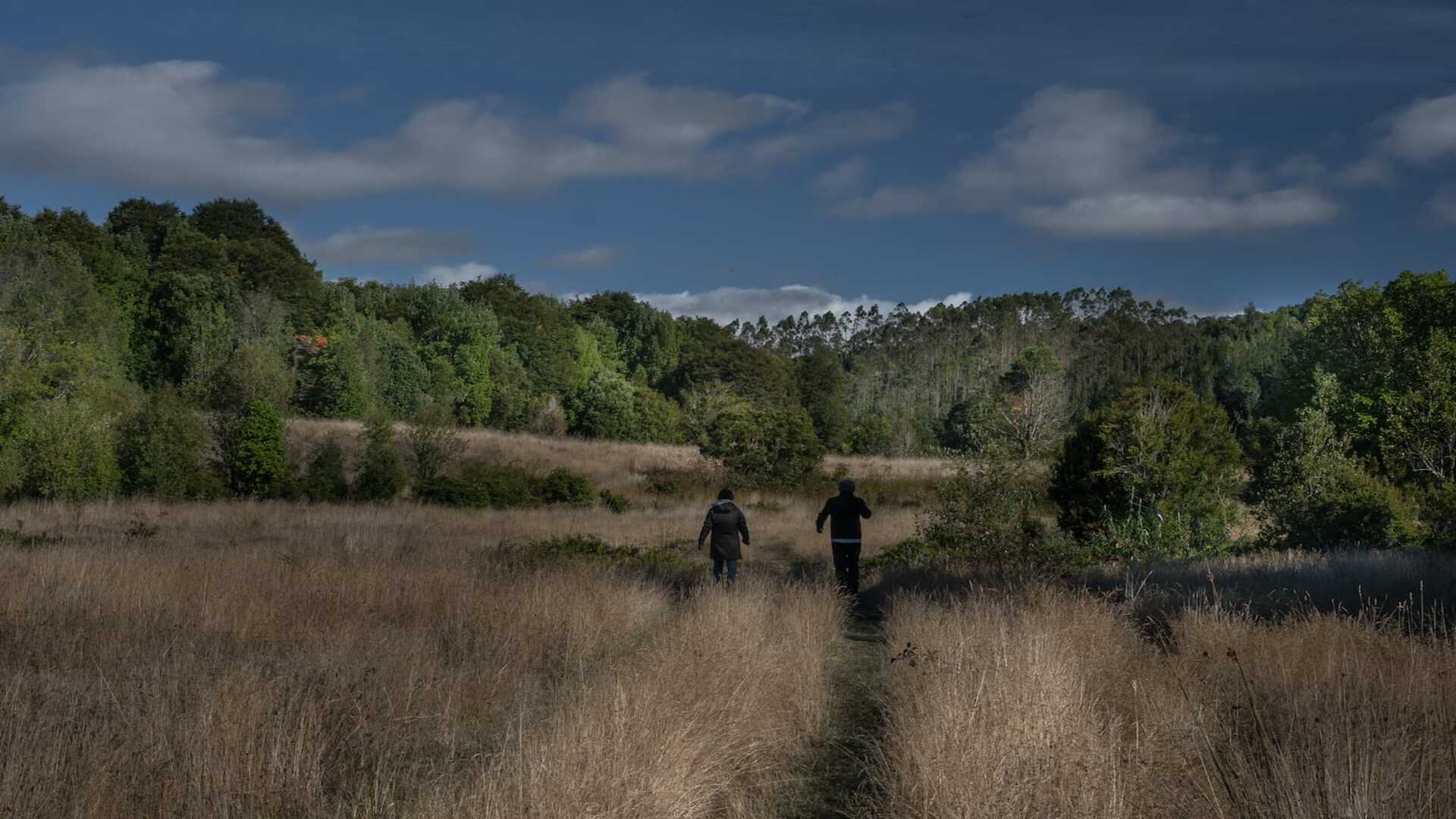 Raices de Tegualda